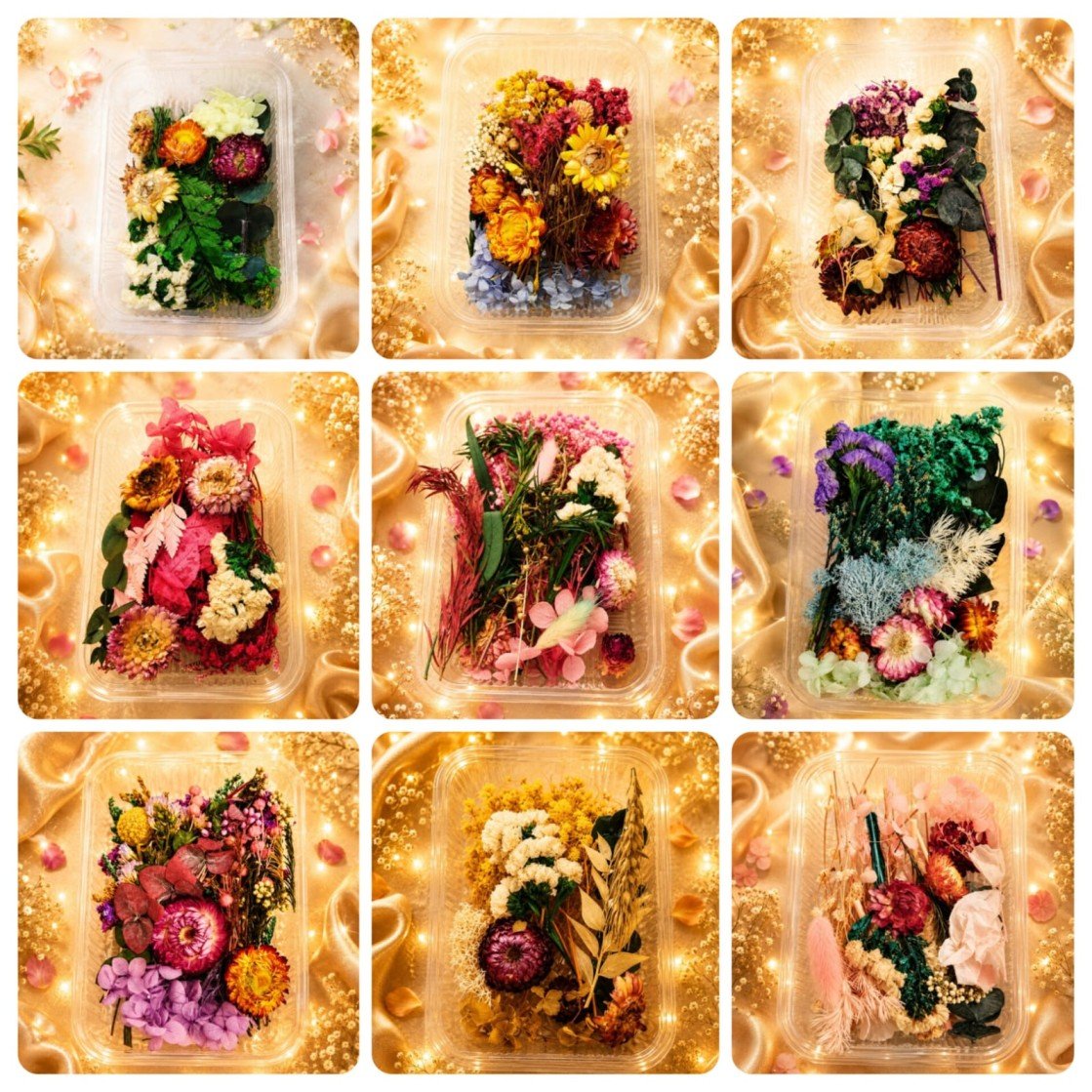 Dry Flower Box